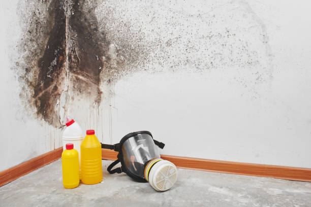 Best Mold Testing  in Oliver Springs, TN