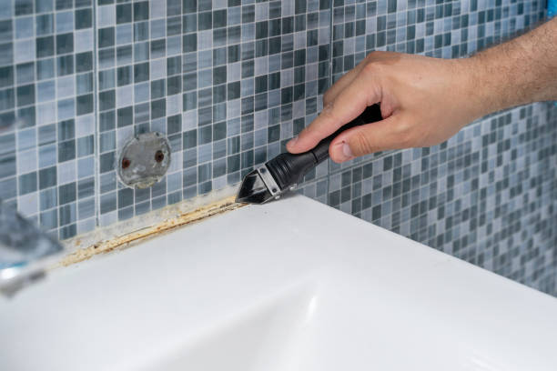 Best Mold Removal and Inspection  in Oliver Springs, TN