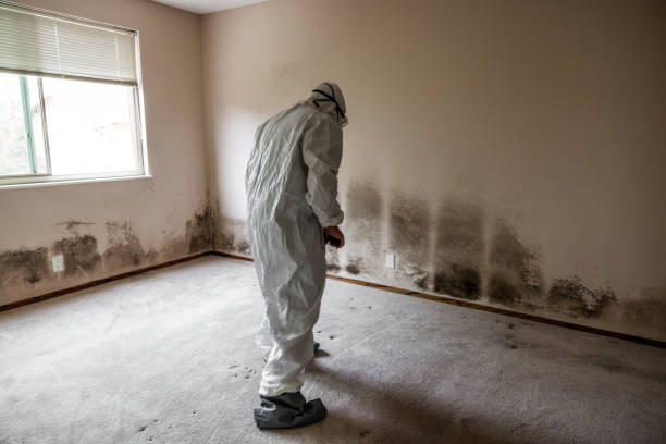Best Mold Cleaning Services  in Oliver Springs, TN